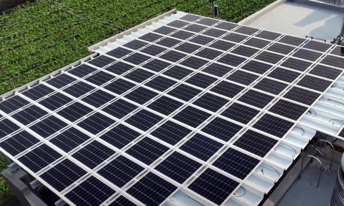 2026世界杯官网入口SunSteel光电浪板升级双玻结构，以提升机械负载强度及气候耐候度，可广泛运用于多元场域