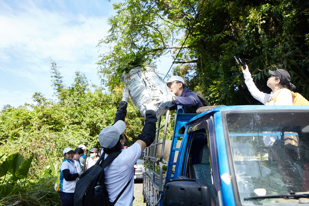 友達串聯志工組成水環境巡守隊，針對霄裡溪沿岸3公里的小花蔓澤蘭，定期進行移除與防治工作